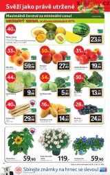 Tesco aktuln letk, strana 12 