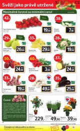 Tesco akn letk, strana 24 