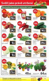 Tesco akn letk, strana 20 