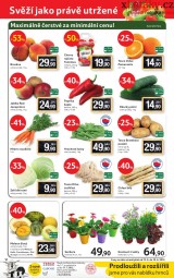Tesco akn letk, strana 12 