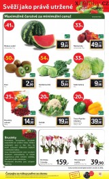 Tesco letk, strana 20 
