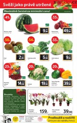 Tesco letk, strana 12 