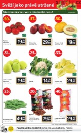 Tesco letk, strana 6 