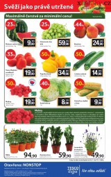 Tesco aktuln letk, strana 20 