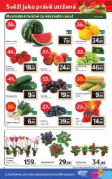Tesco akn letk, strana 12 