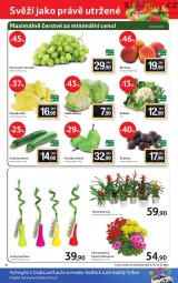Tesco - mal hypermarket letk, strana 16 