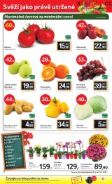 Tesco - velk hypermarket aktuln letk, strana 24 