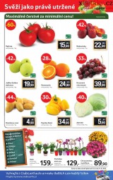 Tesco - mal hypermarket letk, strana 12 
