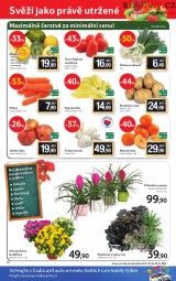 Tesco - mal hypermarket letk, strana 12 