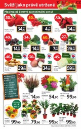 Tesco - mal hypermarket akn letk, strana 16 