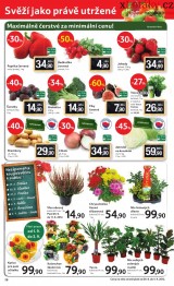 Tesco akn letk, strana 28 