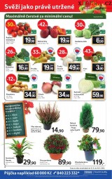 Tesco - mal hypermarket letk, strana 8 