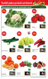 Tesco - supermarket akn letk, strana 6 