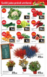 Tesco aktuln letk, strana 20 