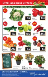 Tesco - hypermarket Hostivice letk, strana 12 