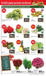 Tesco - velk hypermarket aktuln letk, strana 20 