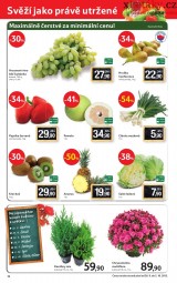 Tesco - mal hypermarket letk, strana 12 