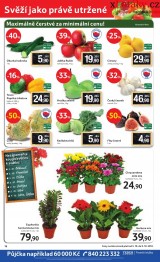 Tesco - velk hypermarket aktuln letk, strana 16 