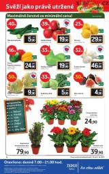 Tesco - hypermarket Vykov letk, strana 12 
