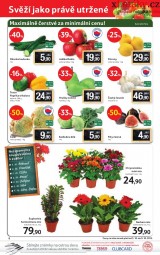 Tesco - mal hypermarket letk, strana 8 