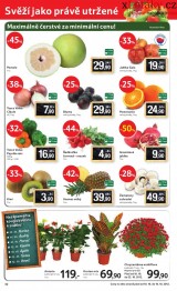 Tesco letk, strana 32 