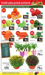 Tesco aktuln letk, strana 20 
