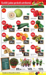 Tesco aktuln letk, strana 40 