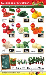 Tesco letk, strana 20 