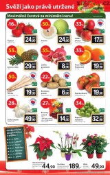 Tesco - mal hypermarket letk, strana 12 