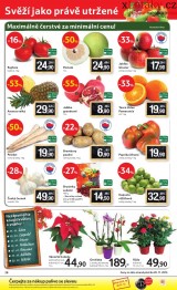 Tesco letk, strana 28 