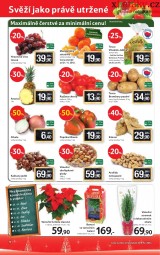 Tesco letk, strana 12 